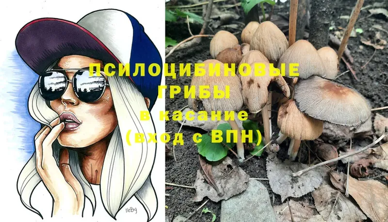 OMG рабочий сайт  Данков  Галлюциногенные грибы Magic Shrooms  сколько стоит 